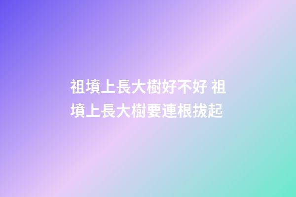 祖墳上長大樹好不好 祖墳上長大樹要連根拔起